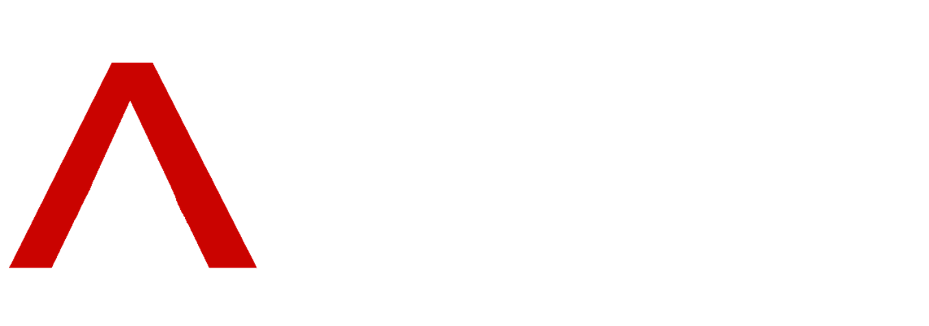 Grupo Multiservicios ARES S.A. de C.V.